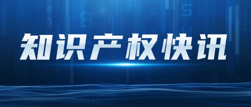 中安德通 | 中山中院：夫妻以共同财产设立公司，未能证明财产独立被判连带赔偿500万